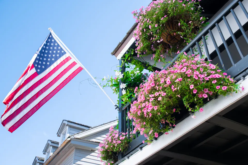 West Columbia — mold removal